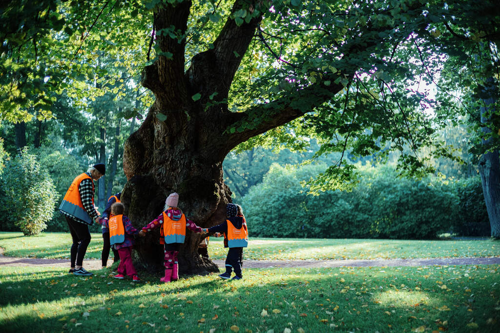 Children are playing around a tree at summer.