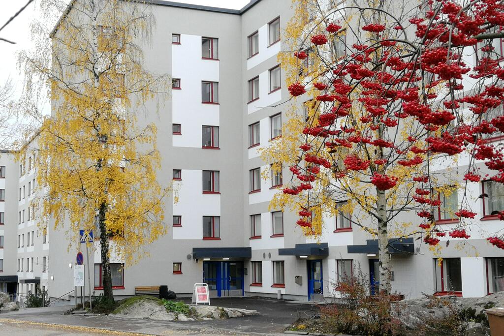 Puita, joissa punaisia ja keltaisia lehtiä Stadin yhteisötalo Pihalajamäen sisäänkäynnin edessä.