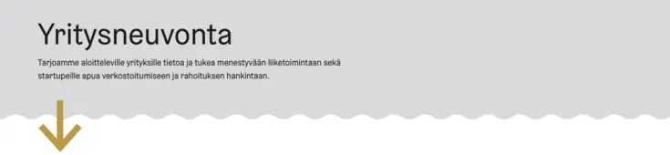 Kansikuva esimerkki ilman kuvaa
