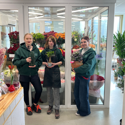 Kukkakaupan työntekijät esittelevät kukkia.